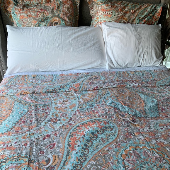 Pottery Barn Paloma Paisley Organic Percale Queen Duvet - Picture 4 of 8